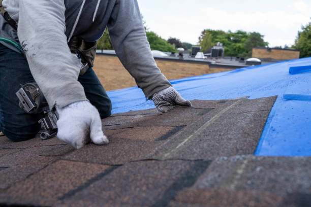 Best Roof Gutter Cleaning  in West Easton, PA