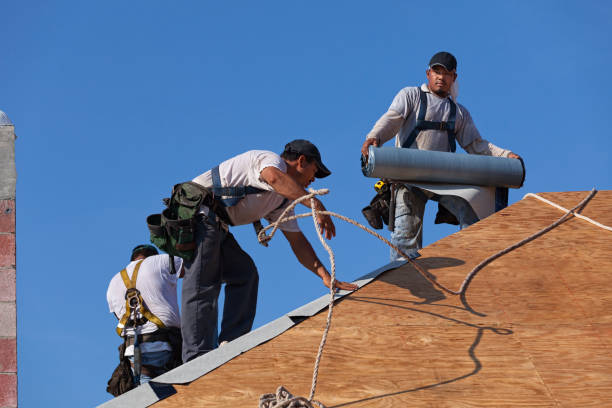 Quick and Trustworthy Emergency Roof Repair Services in West Easton, PA